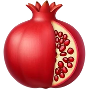 Pomegranate sticker