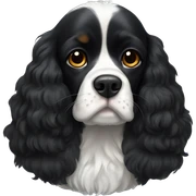 Small completely black king spaniel with black fur on his whole face and white fur on chest sticker