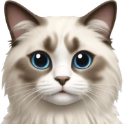 Ragdoll cat sticker