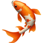 Koi fish  sticker
