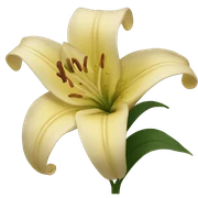 lily sticker
