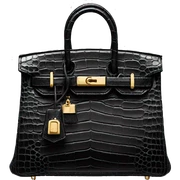 black crocodile birkin with gold hardware  sticker
