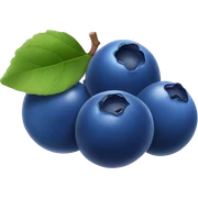blueberry sticker
