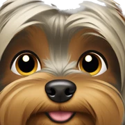 yorkie dog sticker