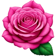 Hot pink rose sticker