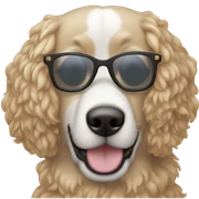 Perro, rizos,lentes  sticker
