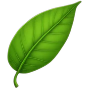  leaf sticker