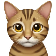 tabby cat  sticker