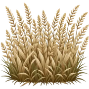 nature hearb beige sticker