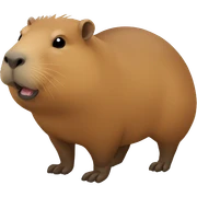 Capybara  sticker
