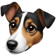 jack russel black ears sticker