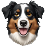 Australian shepherd sticker