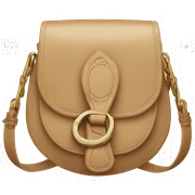 Dior saddle bag sticker