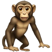 macaco sticker