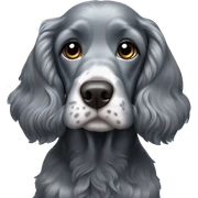 Blue Rowan cocker spaniel grey sticker