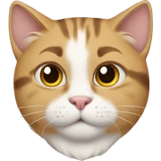 Cats sticker