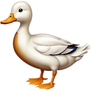 Duck sticker