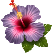 hibiscus  sticker