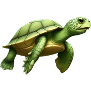 turtle sticker