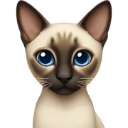 Siamese cat sticker