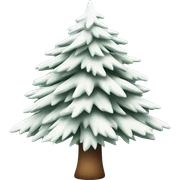  actual white fir christmas tree isolated.  sticker