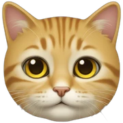 Chat sur chat sticker