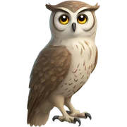 Owl sticker