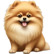 Fluffy Pomeranian  sticker
