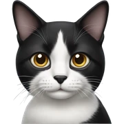 Black and white cat sticker