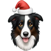 Border collie Christmas  sticker