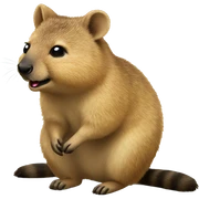 Quokka sticker