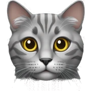 Cat grey sticker