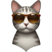 Cat with sunglasses sticker