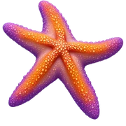 Starfish sticker