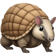Armadillo  sticker