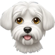 Maltese sticker