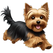 running so fast Yorkshire Terrier sticker