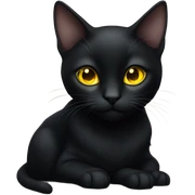 Black cat sticker