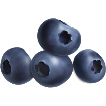 yoghurt bowl with grapes and blueberries emoji