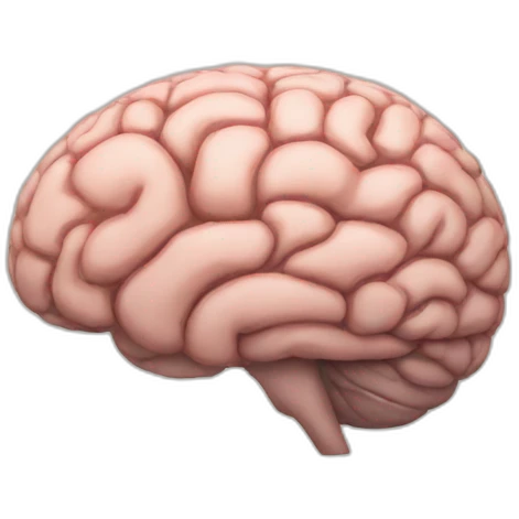 Brain emoji