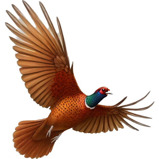 pheasant flying emoji