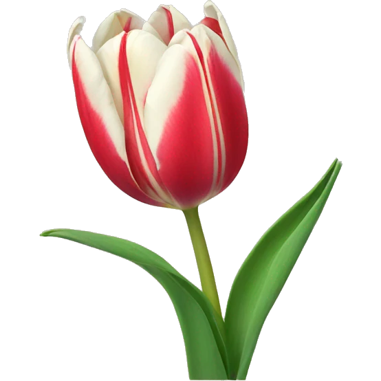 Tulip emoji