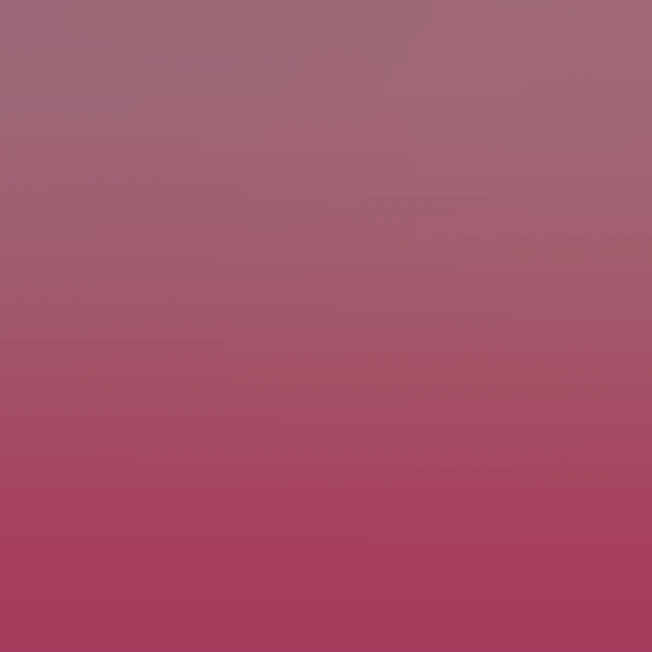 Two simple solid circles in Apple Emoji style, minimalist design ...
