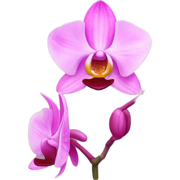 Orquídea pink emoji