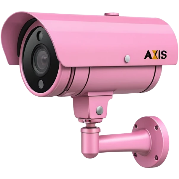 Security Camera pink Axis P1346-E emoji