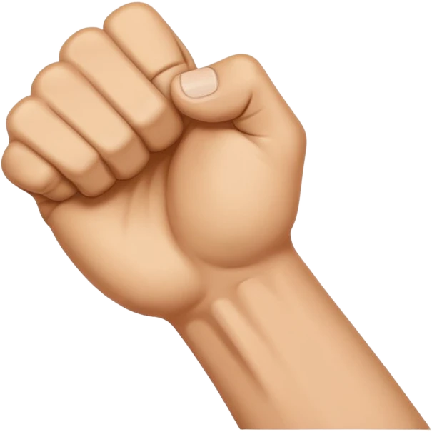 👊🫳 emoji