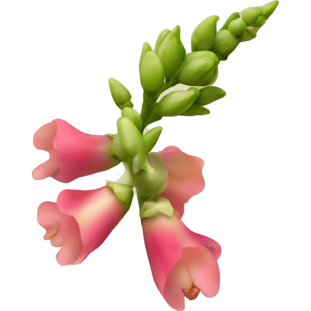 Snap dragon seed pod flower emoji