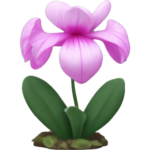 cyclamen flowrer emoji