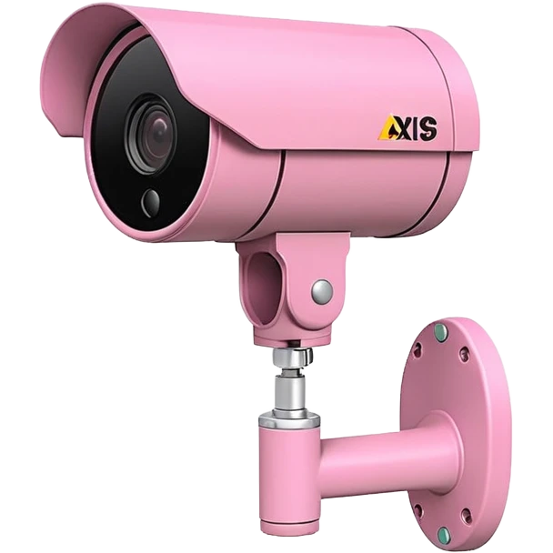 Security Camera pink Axis P1346-E emoji