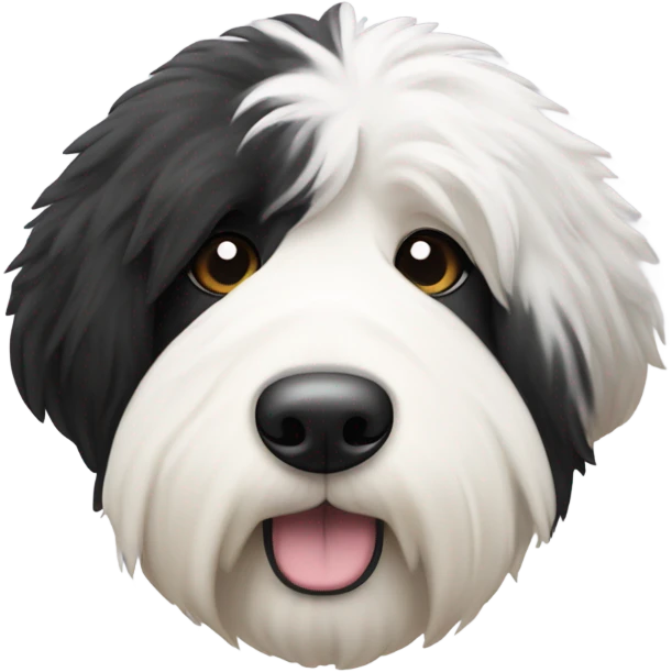 Old English sheepdog with a half and half face like a black and white cookie emoji